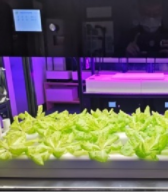 植物工厂与设施农业用智能化装备